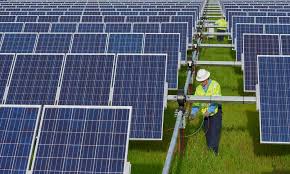 Man working on solar panels in farm