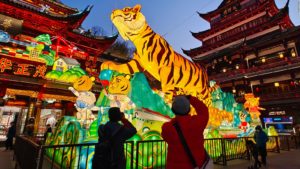 lunar new year celebration