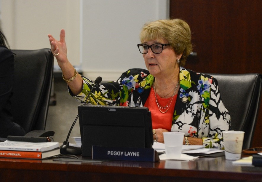 Image of new board chair Peggy Layne